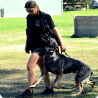 Positive K9 Training image 3